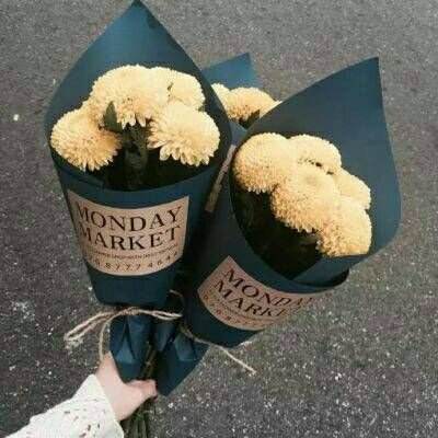 经典牛牛手机app下载