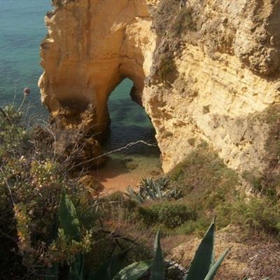 乐鱼APP下载手机版