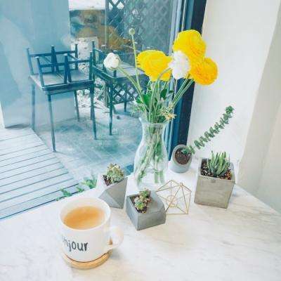 乐鱼娱乐app下载手机版截图